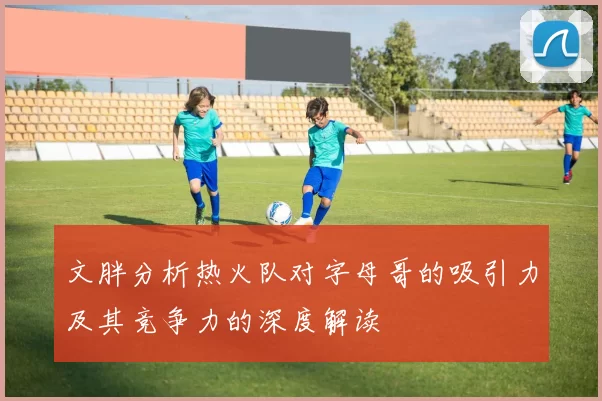 文胖分析热火队对字母哥的吸引力及其竞争力的深度解读