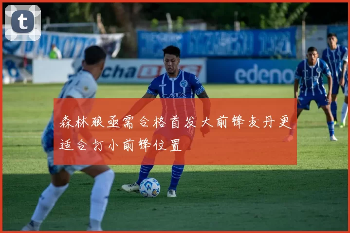 森林狼亟需合格首发大前锋麦丹更适合打小前锋位置