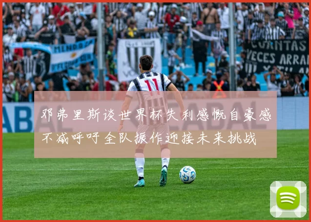 邓弗里斯谈世界杯失利感慨自豪感不减呼吁全队振作迎接未来挑战
