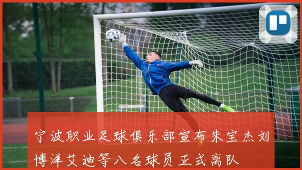 宁波职业足球俱乐部宣布朱宝杰刘博洋艾迪等八名球员正式离队